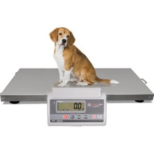 Yıldırım Paslanmaz Veteriner Baskülü 60 x 80 cm 200 Kg Kapasite Büyük LCD Gösterge Model YILDIRIM-VET