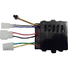 Pilsan Uzaktan Kumanda Alıcı 12 V Güç ile 25 kg Taşıma Kapasitesine Sahip Siyah Renk