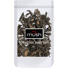 Mush Kuru Borazan Mantarı - 7 Adet