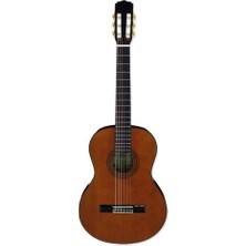 Aria A20N Klasik Gitar