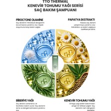Tto Thermal Kenevir Bitkisi Tohumu Yağı Saç Bakım Şampuanı 250ML