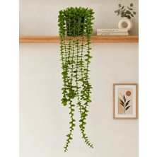 B&Nine Yapay Yeşil Sarkıt Bitki Çiçek Okaliptus Kokusuz Plastik 80 cm Modern Renk