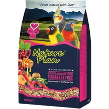 Nature Plan Meyve Aromalı ve Ballı Paraket Yemi 800Gr İçerik: Darı, Aspir, Keten Tohumu