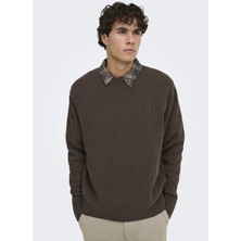 Only & Sons Kahverengi Erkek Kazak 22039789 Onsrodger Crew Neck Knıt
