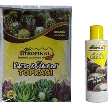 Tropikal Kaktüs & Sukulent Toprağı 2.5 Litre ve 225 ml Bitki Besini ile Tropikal Bitkiler İçin Özel