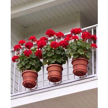 Terracy Home Garden 3’lü Orta-Küçük Boy Yuvarlak Saksı Askılığı - Balkon Demiri, Panel Çit ve Korkuluklar Için Geçmeli Saksı Tutucu Askı Aparatı, 20 cm Çap, 10 cm Derinlik, Çelik, Elektrostatik Toz Boyalı