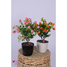 Yapay Çiçek Sitesi Plastik Saksıda Yapay Mini Şeftali & Biber Tanzimi 2’li Set 33 cm