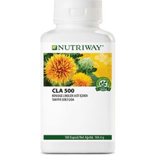 Amway Nutrıway CLA 500 Konjuge Linoleik Asit İçeren 180 Tablet Takviye Edici Gıda Ürünü