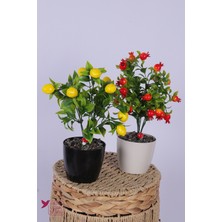 Yapay Çiçek Sitesi Plastik Saksıda Yapay Mini Limon & Nar Tanzimi 2’li Set 33 cm
