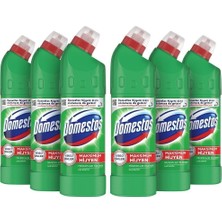 Domestos 750 gr Dağ Esintisi x 6 Maksimum Hijyen Özellikli Temizlik
