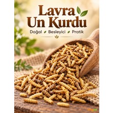 Whtrd Kurutulmuş Larva Un Kurdu 500 gr (Kuşlar, Sürüngenler ve Akvaryum Balıkları Için Doğal Yüksek Proteinli Canlı Yem Alternatifi)