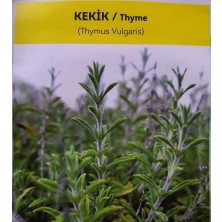 Agrodal Tarım 1000 Adet Yöresel Kekik Tohumu Doğal Ata Tohumu Sertifikalı Yüksek Verim