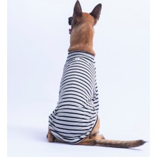 Pawstar Siyah Marseille Orta-Büyük Irk Çizgili Köpek Sweati Köpek Kıyafeti
