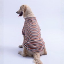 Pawstar Kiremit Marseille Orta-Büyük Irk Çizgili Köpek Sweati Köpek Kıyafeti
