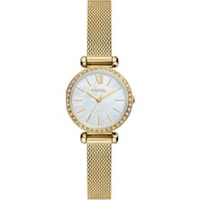 Fossil FBQ3898 Kol Saati