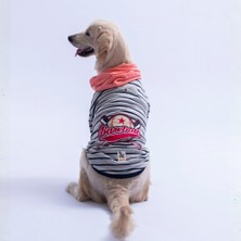 Pawstar Pembe Seattle Pitch Orta-Büyük Irk Için Hoodie  Köpek Sweatshirt Köpek Sweat Köpek Kıyafeti
