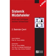 Pegem Akademi Yayıncılık Sistemik Müdahaleler (E-Kitap)