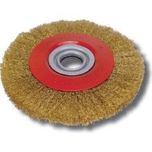 Rayno RYN11682 150MM Saçaklı Daire Fırça 3’lü