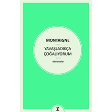 Zeplin Kitap Montaigne Yavaşladıkça Çoğalıyorum Aforizmalar Akademik Kitap