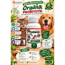 Rb Pharma Organik Probiyotik Kedilerimiz Hastalanmaya Son