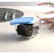 Hibana 53223 Snowbox 6 Li Cam Saklama Kabı 275 cc