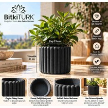 BitkiTÜRK Beton Saksı Dekoratif Saksı Bonsai Sukulent Kaktüs Için Modern Tasarım