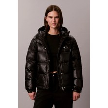 Calvin Klein Kadın MONT-LV047H512G