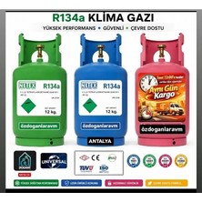 Dogant R134A 12 kg