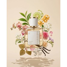 Fianendei Parfums W-V4 Çiçeksi Vanilyalı Kadın Parfüm Edp 50 ml