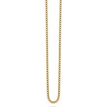 Bilfa Altın Kaplama Klasik Box Chain Erkek/kadın Zincir Kolye Lüks Baklalı Çelik Zincir