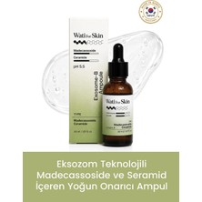 wati for skin Madecassoside Ceramide Exosome-B Ampoule / Madecassoside ve Seramid Içeren Yoğun Onarıcı Ampul
