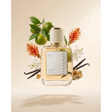 Fianendei Parfums W-P1 Vanilyalı Tuzlu Amber Kadın Parfüm Edp 50 ml