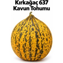 Sunagri Kırkağaç 637 Kavun Tohumu İri Meyveli 5 Gram