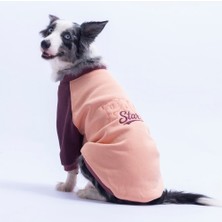 Somon Boston Pawstar Sweat Orta-Büyük Irk Köpek Sweatshirt Köpek Sweat Köpek Kıyafeti