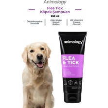 Animology Flea Tick Kene ve Pire Önleyici Kedi Köpek Şampuanı 250 mL - Dış Parazit Aşısını Destekleyici
