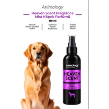Animology Heaven Scent Fragrance Mist Kedi Köpek Parfümü 150 mL - Çiçeksi Notalı, Dişiler İçin, Vegan
