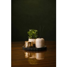 Giselle Touch Of Gold – Olive & Gold Premium Set Mum