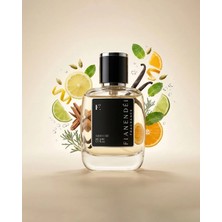 Fianendei Parfums M-K1 Ferah Deniz Notalı Baharatlı Erkek Parfüm Edp 50 ml