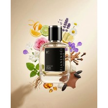 Fianendei Parfums M-F1 Deri ve Odunsu Baharatlı Erkek Parfüm Edp 50 ml