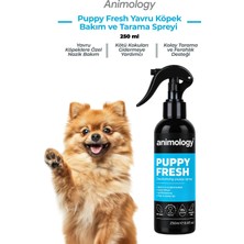 Animology Puppy Fresh Kötü Koku Giderici Yavru Köpek Bakım ve Tarama Spreyi 250 mL - Kötü Kokulara Son!
