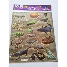 Modellino Sürüngen Hayvanlar Sticker 30X20CM Ebat Gerçek Görsel Yapıştırmalı Çıkartma Etiket