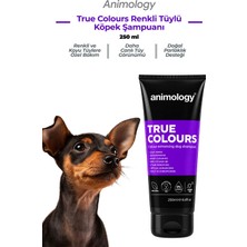 Animology True Colours Renkli Tüylü Köpekler için Özel Şampuan 250 mL - Daha Canlı Kürkler!