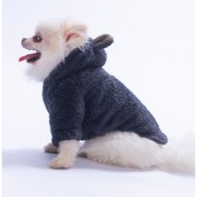 Pawstar Antrasit Lucca Teddy Hoodie Ayı Kulaklı Peluş Köpek Kıyafeti Kedi Kıyafeti Köpek Sweati