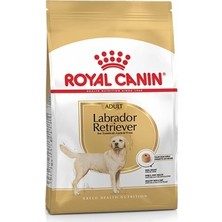 Royal Canin Labrador Retriever 12 kg Yetişkin Köpek Maması