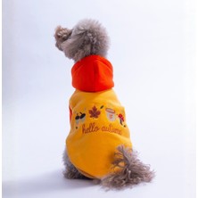 Pawstar Turuncu Vermont Autumn Köpek Hoodie Köpek Sweat Köpek Kıyafeti Kedi Kıyafeti