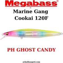 Megabass Marine Gang Cookai 120F Maket Balık