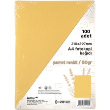 Umur Renkli Fotokopi Kağıdı A4 80GR 100LÜ Gold Altın