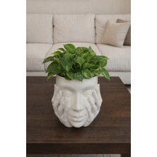 Alpin Modern Minimalist Yüz Figürlü Saksı & Kalemlik | Dekoratif Obje