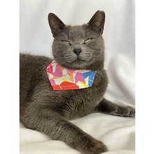 Aydogan's Autumn Kedi Bandana, Fular, Kedi Kıyafeti Kedi Elbisesi, Kedi Tasması