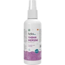Aydogan's Care Yaban Mersini Kokulu Köpek Kolonyası 125 ml